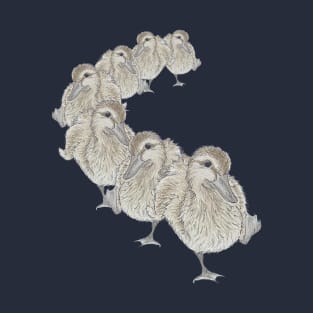 Ducks in a row T-Shirt