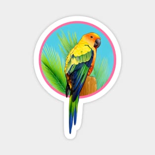 Sun Conure Magnet