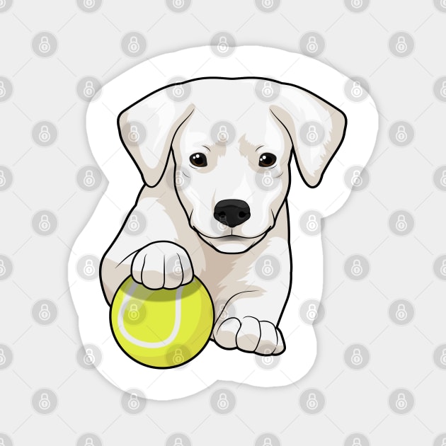 Dog puppy Tennis Tennis ball Magnet by Markus Schnabel