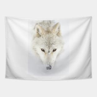 Arctic Wolf Tapestry