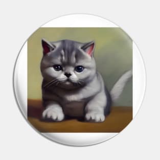 cute british shorthair cat kitten 1 Pin