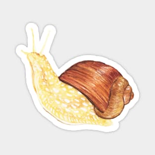 Watercolor Snail Magnet