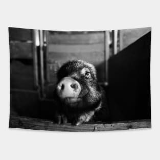 Minipic Pig II / Swiss Artwork Photography Tapestry