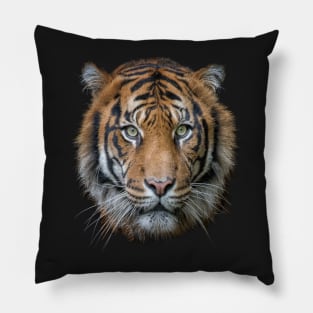 A Bengal Tiger cat wildlife Pillow