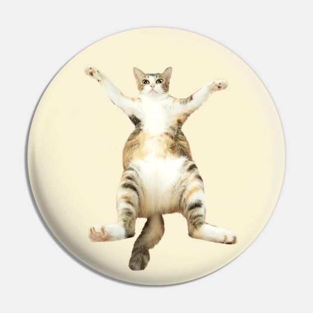 Kitty With Open Arms Pin by leBoosh-Designs