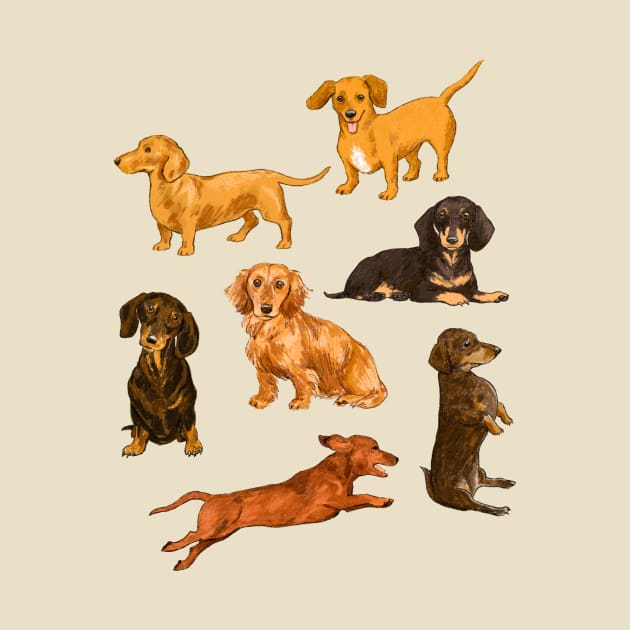 Dachshunds, dachshunds by AlisonKolesar