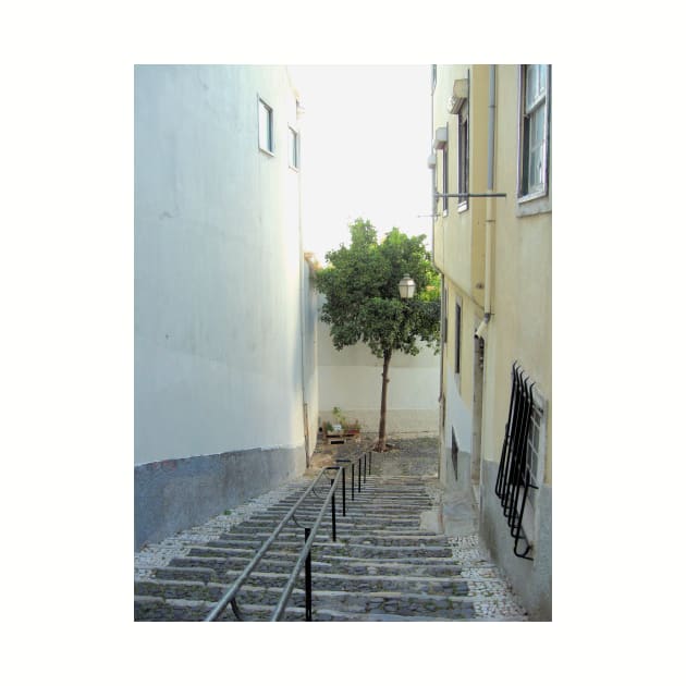 What a difference a tree makes - Alfama, Lisboa by WesternExposure