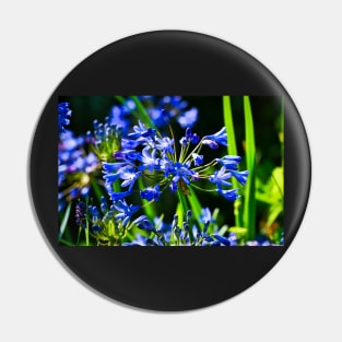 Mystical Blue Flowers & Green/Dark background Pin