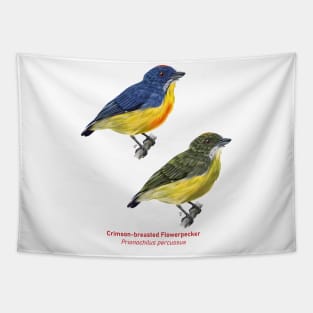 Crimson-breasted Flowerpecker | Prionochilus percussus ⚥ Tapestry