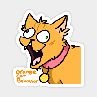 Orange Cat Behavior Magnet