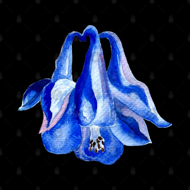 Blue Columbine - Watercolor Flower Painting by IvyLilyArt