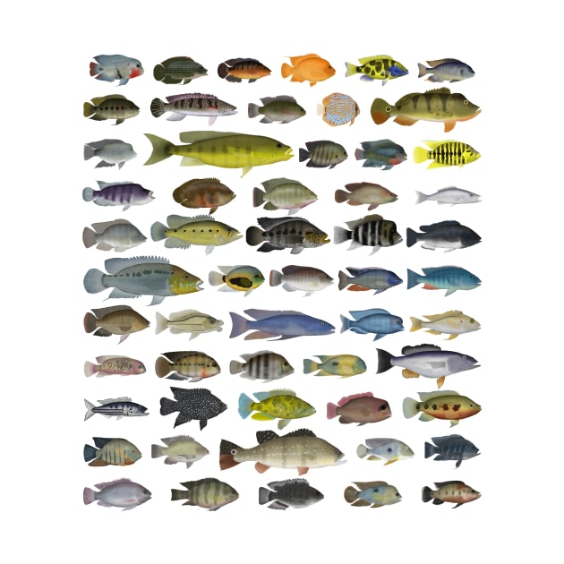 Cichlid Group by FishFolkArt