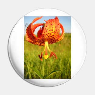 Lovely Orange Spotted Tiger Lily Pin