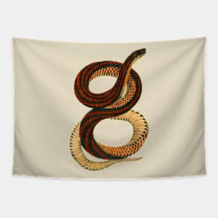 erpent,cobra,reptile,viper,venom,lizard,rattlesnake,king cobra Tapestry