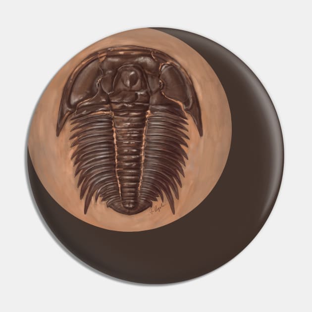 Trilobite Modocia typicalis, original artwork Pin by Naturascopia