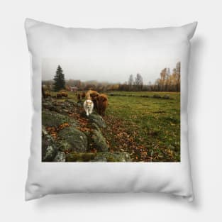 Scottish Highland Cattle Calves and Cat 1837 Pillow