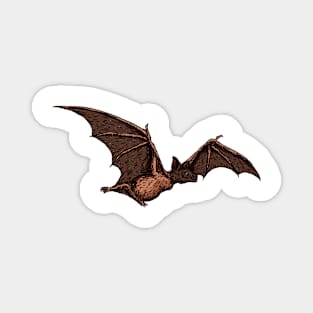 Bat Vintage Magnet