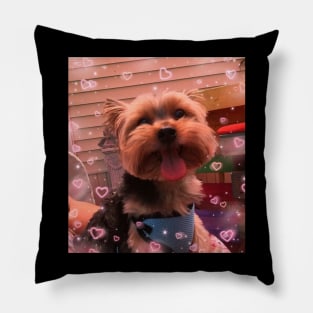 I Love My Yorkshire Terrier Pillow