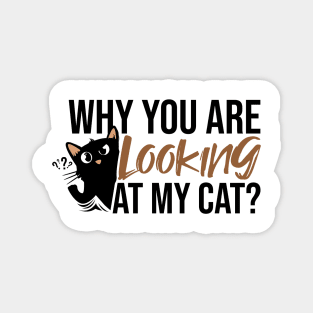 Why you are looking at my cat Magnet