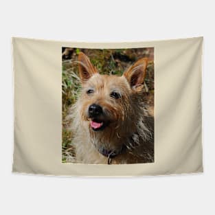 Doggie Smile Tapestry