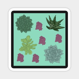 Succulents Pattern Seafoam Magnet