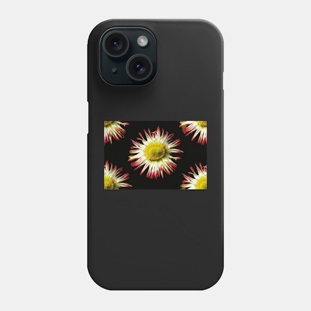 Daisies, Daisies Phone Case by AlexaZari