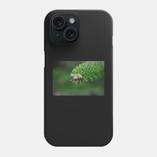 Evergreen Phone Case