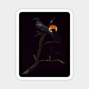 Ravens Under a Full Moon Magnet