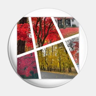 Fall Foliage Collage Pin