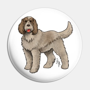 Dog - Spinone Italiano - Red and Tan Pin