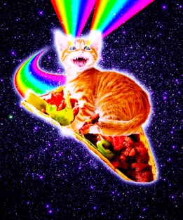 Rainbow Laser Eyes Galaxy Cat Riding Taco Magnet