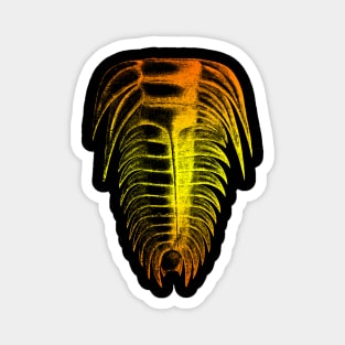 Trilobite Orange Yellow Color Splash Design Magnet