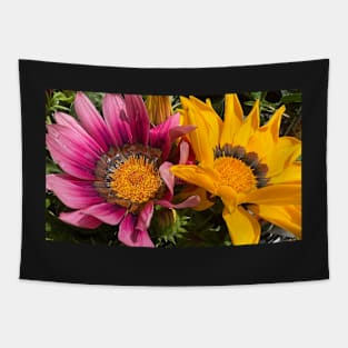 Pink and Yellow Daisies Tapestry