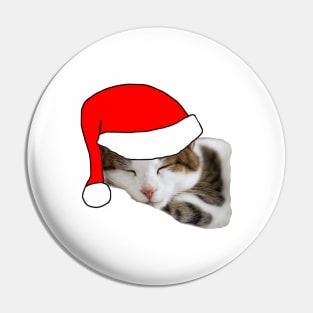 Christmas Cat in a Santa Hat Pin