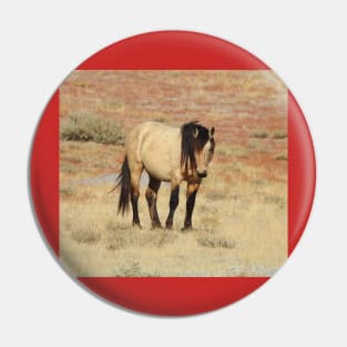 Wild horse, animals, wildlife, gifts Pin