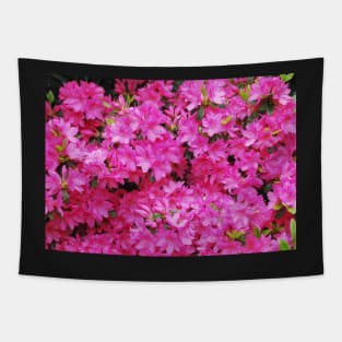 Pink Azalea Flowers Tapestry