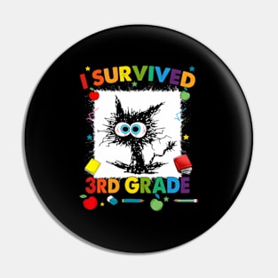 Last Day Of Third 3rd Grade I Survived Third 3rd Grade Pin