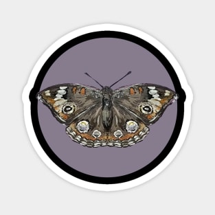 Common buckeye butterfly purple Magnet