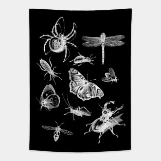 Dramabite Vintage retro scientific bugs insect collection entomologist Tapestry