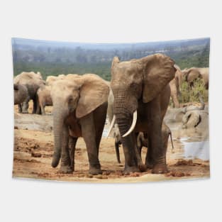 African Wildlife Photography Elephant Siblings Tapestry