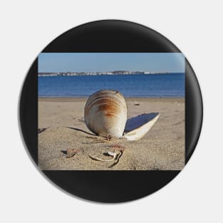 Revere Beach Clam Shell Back Revere MA Pin