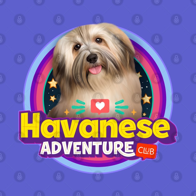 Havanese dog by Puppy & cute