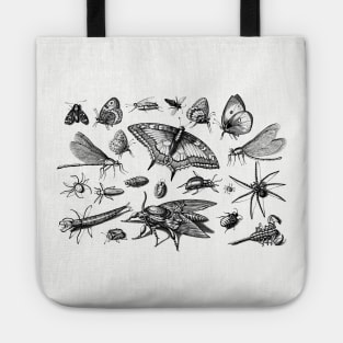 Insects Tote