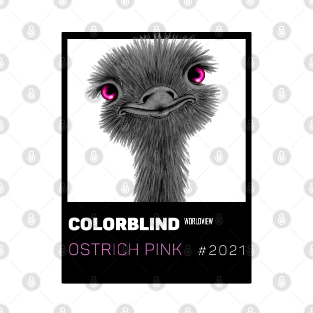 OSTRICH PINK - black card  by COLORBLIND WorldView by DREAM SIGNED Collection