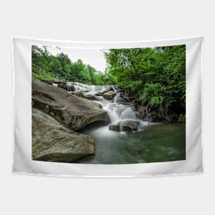 Grassy Falls Tapestry