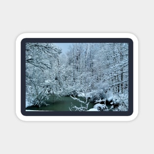 Southern Illinois Winter Scene 2_Dec 2012 Magnet