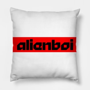 BOGO 2 Pillow