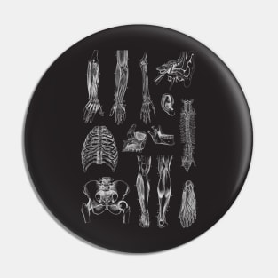 Vintage human anatomy pattern Pin