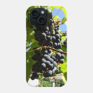 A bunch of black grapes under the blue sky Phone Case