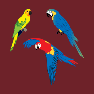 Tropical parrots, wildlife, nature, Carribean Islands T-Shirt